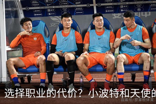 选择职业的代价？小波特和天使的对话